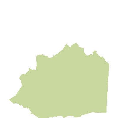 Export Image