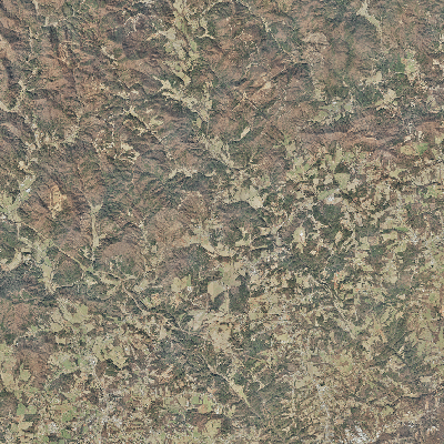 Export Image