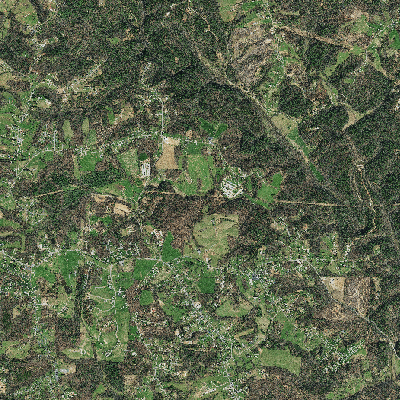Export Image