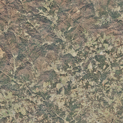 Export Image