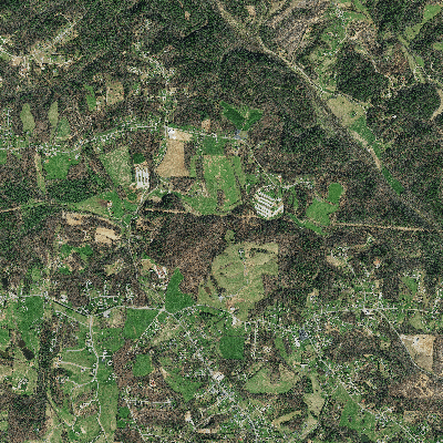 Export Image